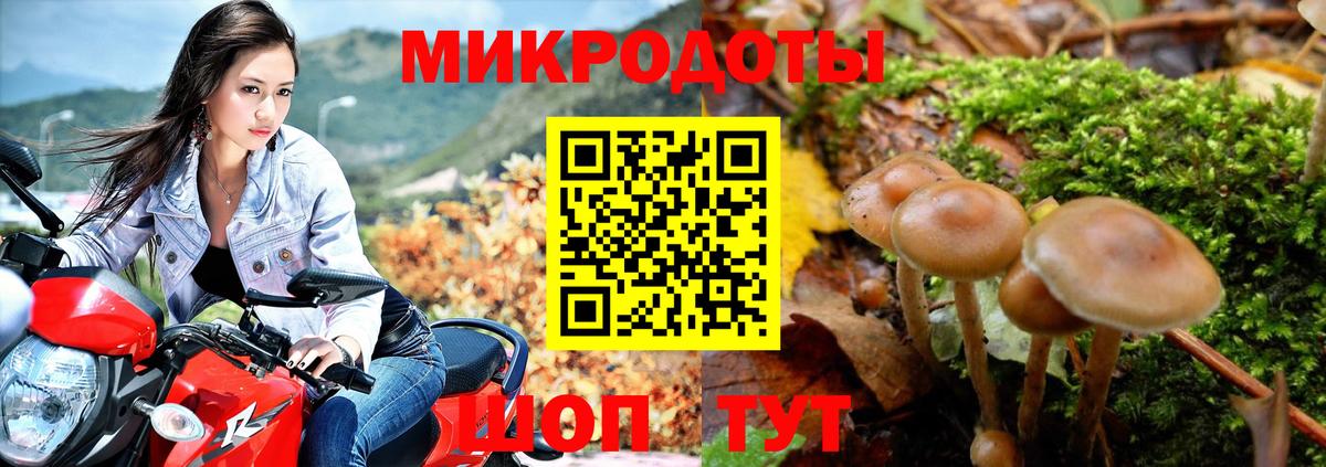 Галлюциногенные грибы Psilocybine cubensis Ангарск